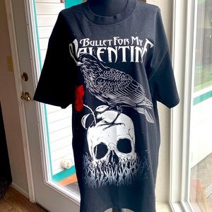 💀Bullet for my Valentine🌹